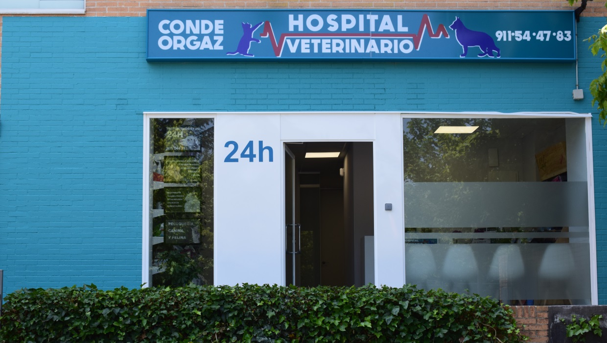 Hospital Veterinario Conde Orgaz Urgencias 24 Horas