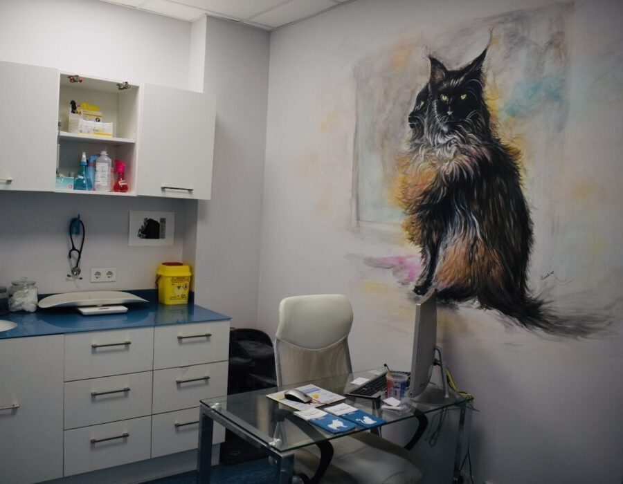 Consulta Gato
