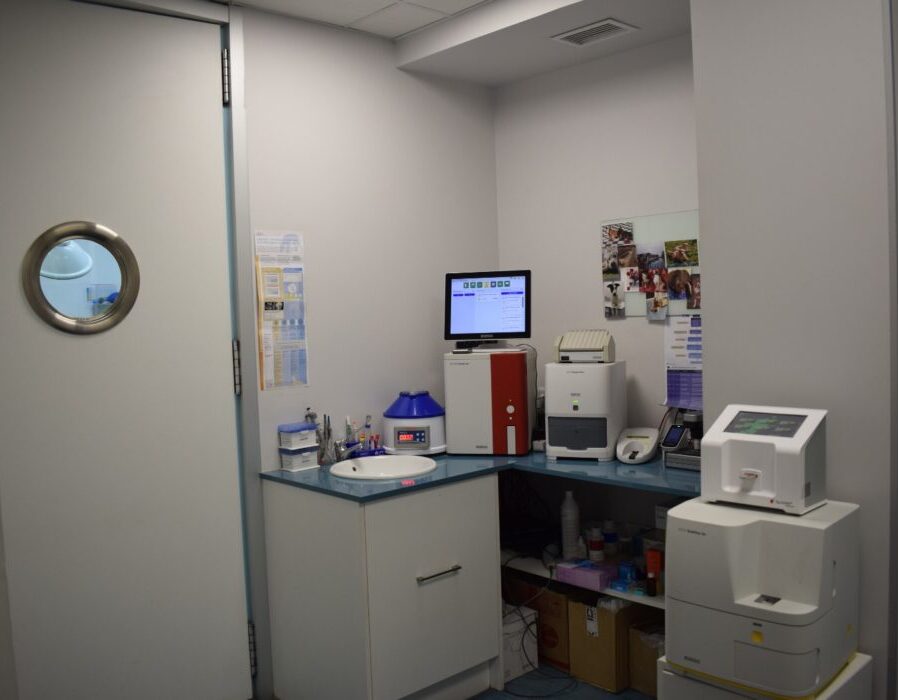 Laboratorio2